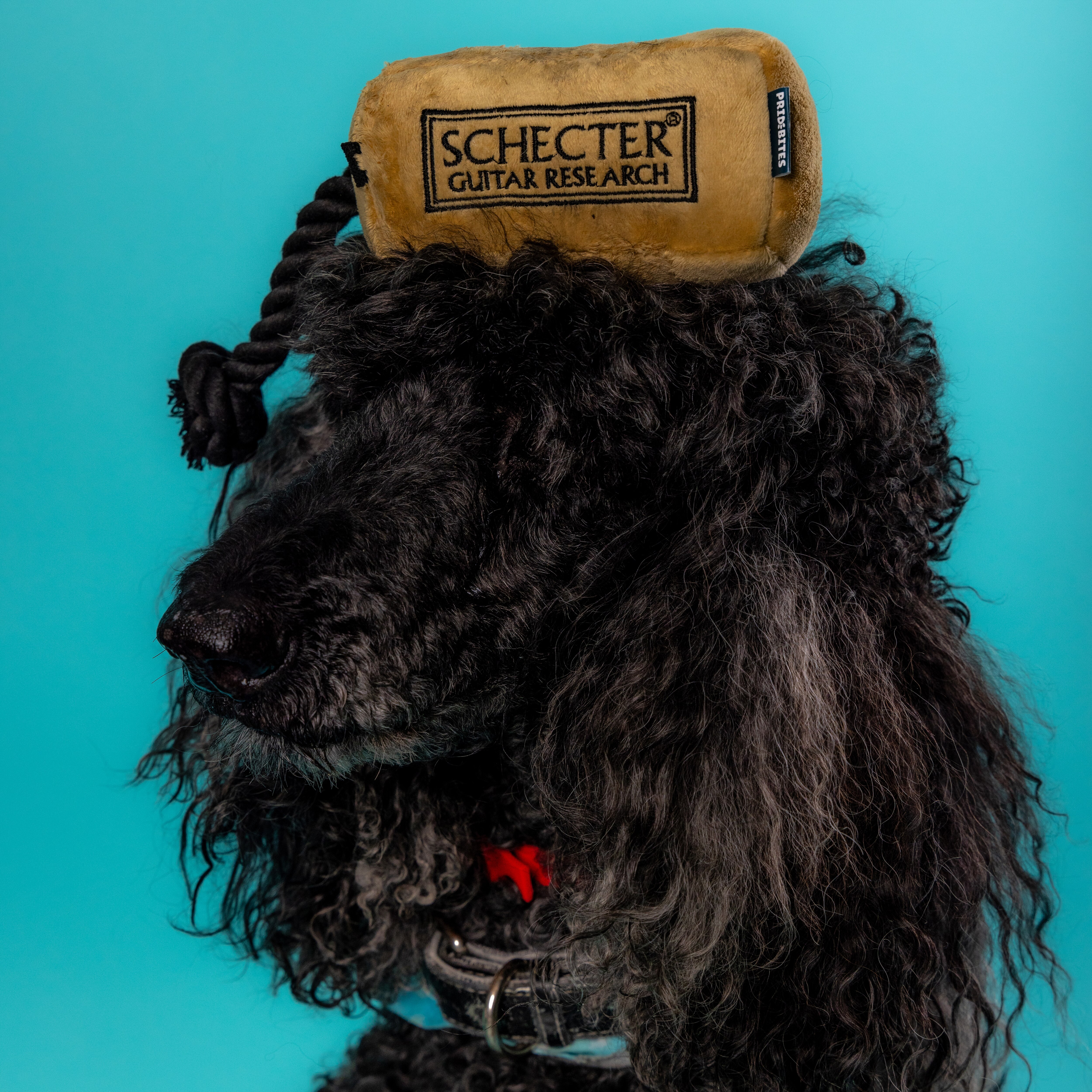 Humbarker Dog Toy
