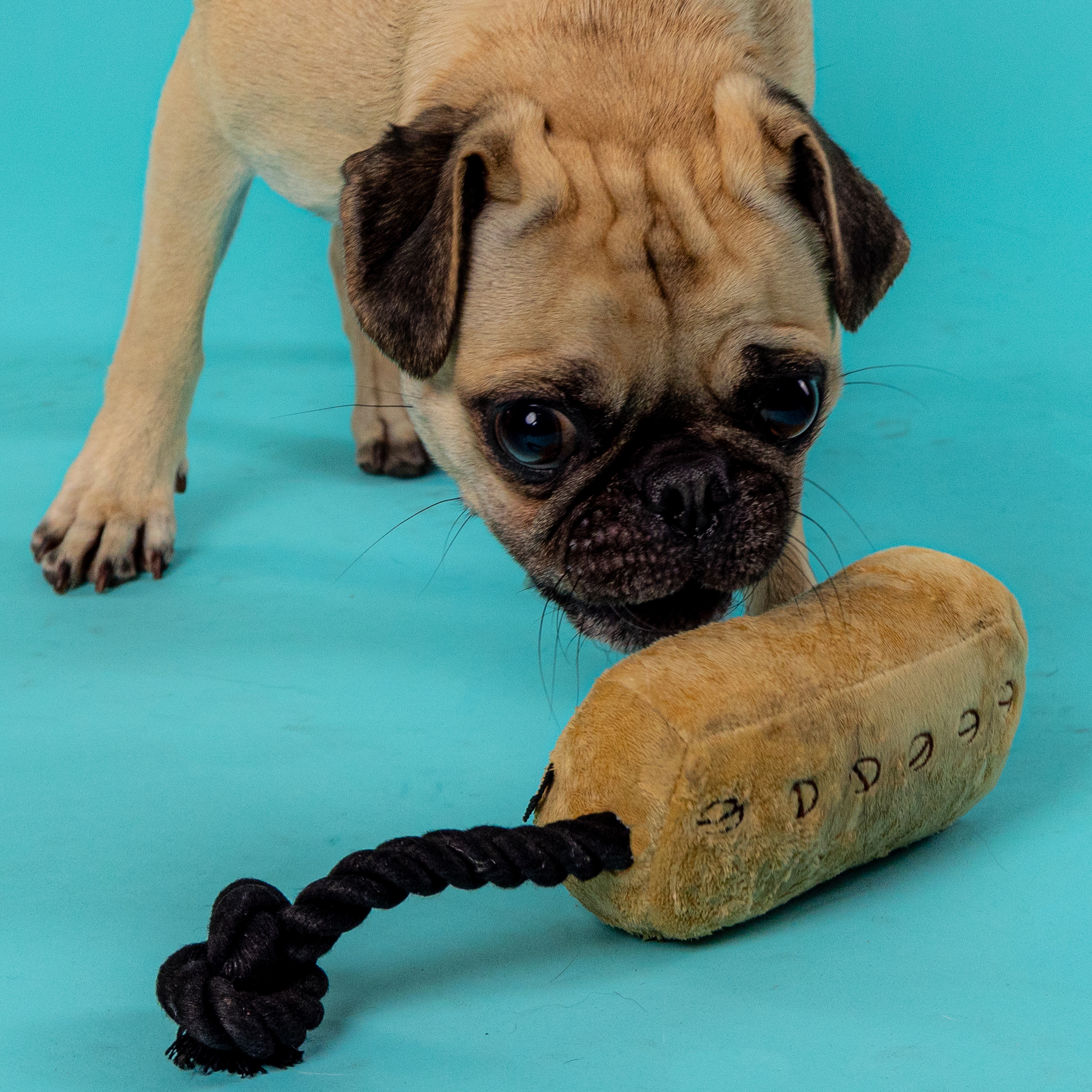 Humbarker Dog Toy