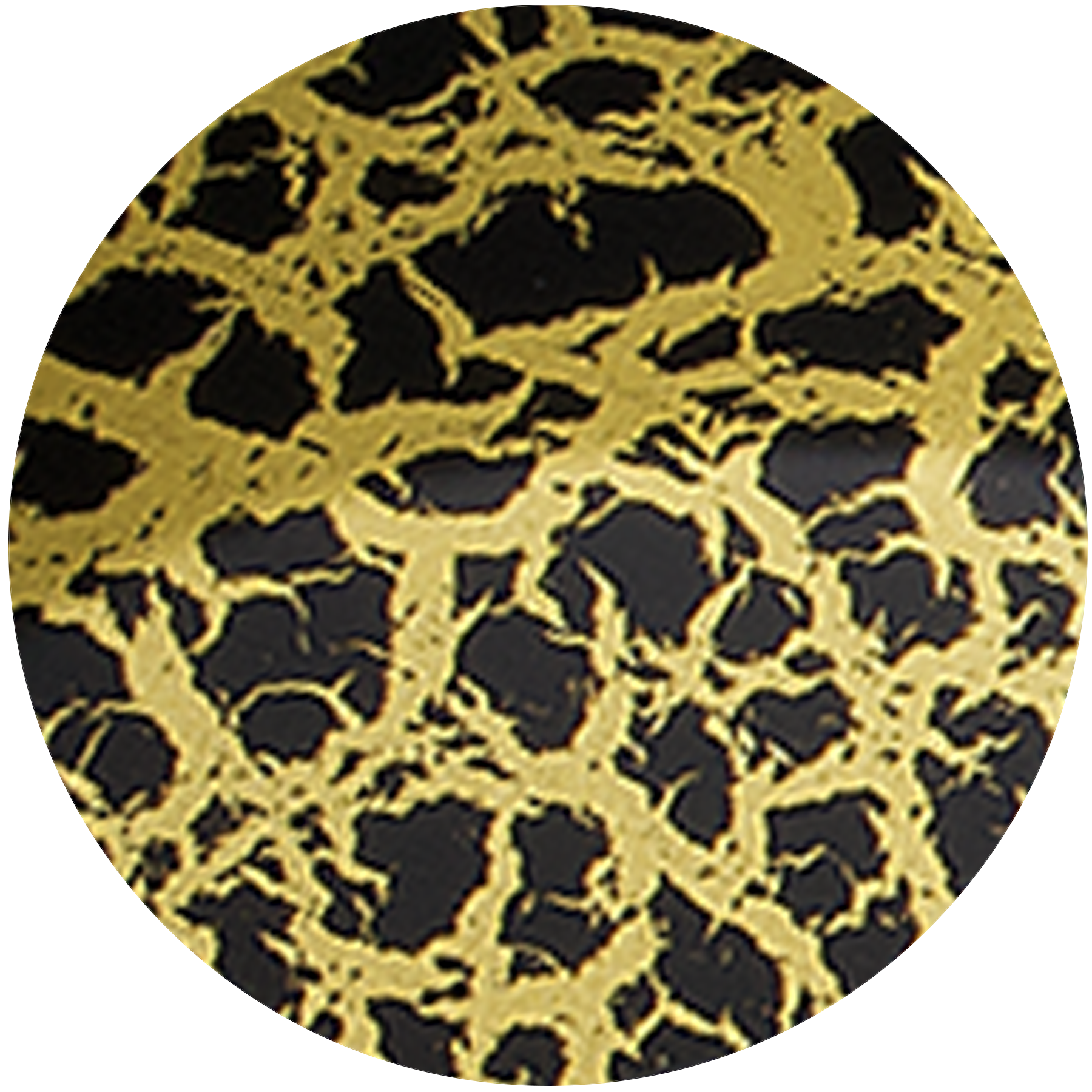 Black and Gold Crackle