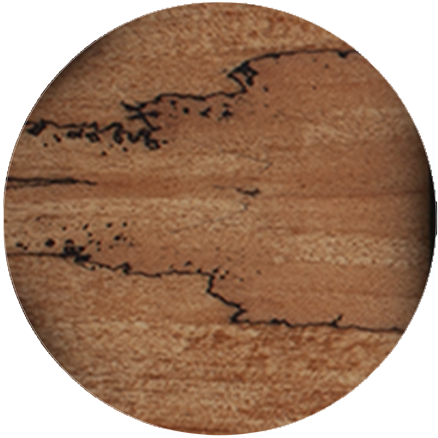 Spalted Maple with Black Burst