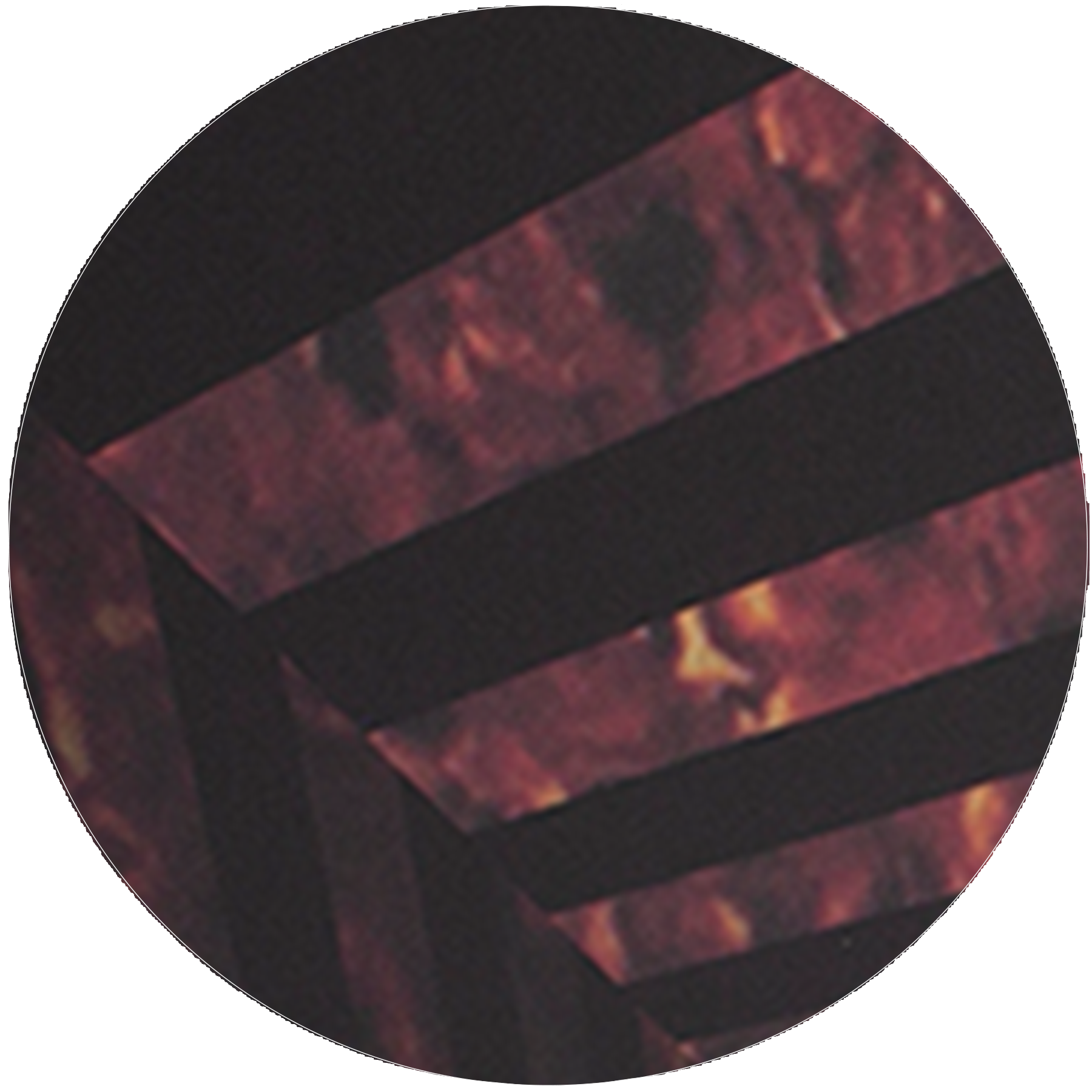 Tortoise Shell Corridors