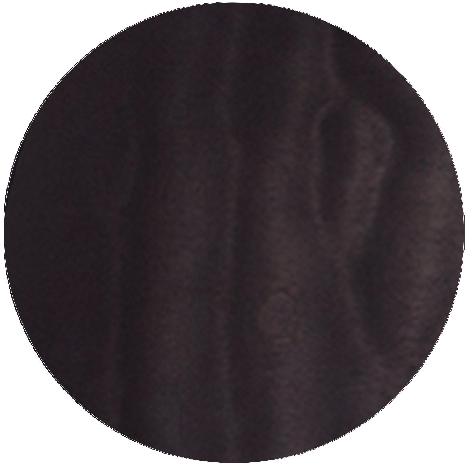 Trans Black Burst