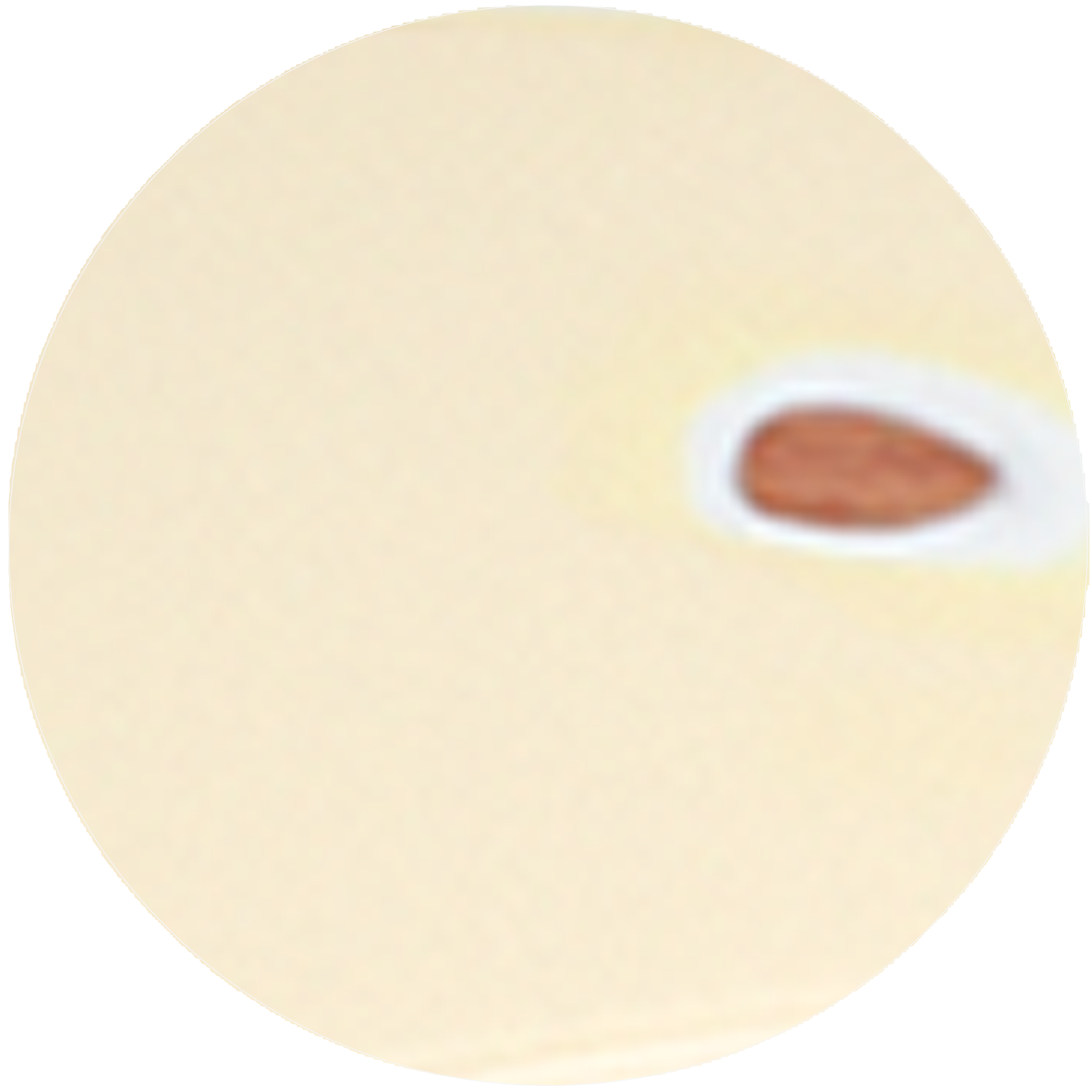 Worn Ivory
